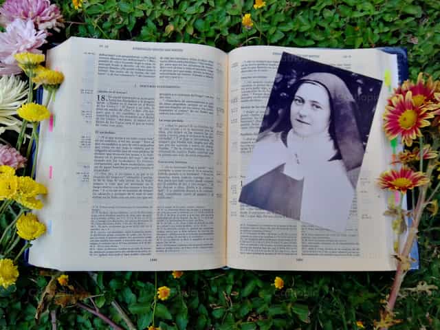Santa Teresita y el Evangelio - Banco de imágenes católicas - Fotografía por Nathán José Montero