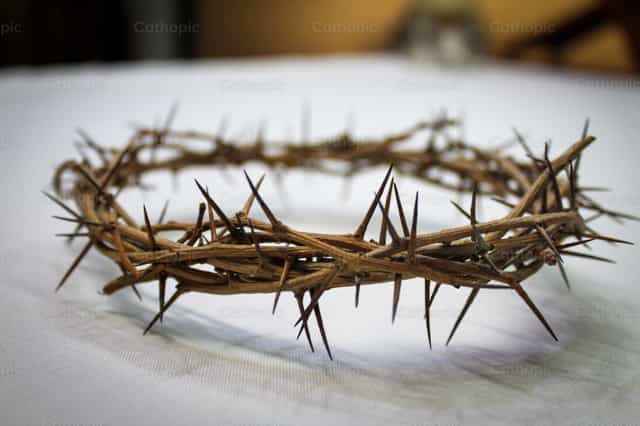 Crown of thorns - Catholic stock images