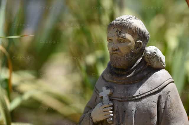 Antigua estatua de San Francisco de Asís - Banco de imágenes católicas - Fotografía por Luisa Oswalt
