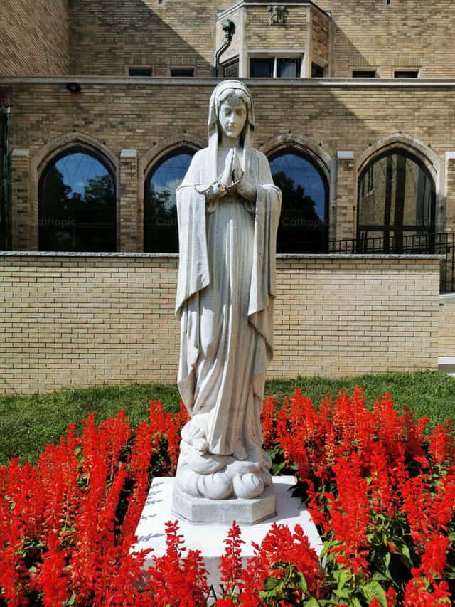 Virgen Maria - Banco de imágenes católicas