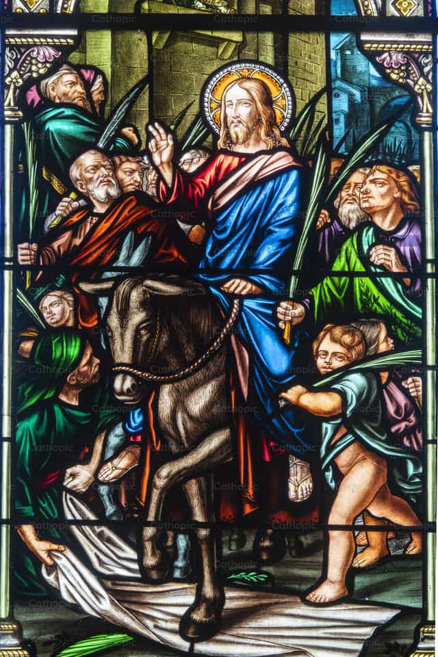 Jesús entra en Jerusalén en un pequeño burro - Banco de imágenes católicas