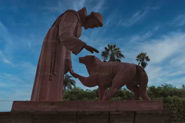 Peace and good - Catholic stock images