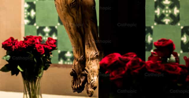 In Jesus, tragedy blossoms - Catholic stock images