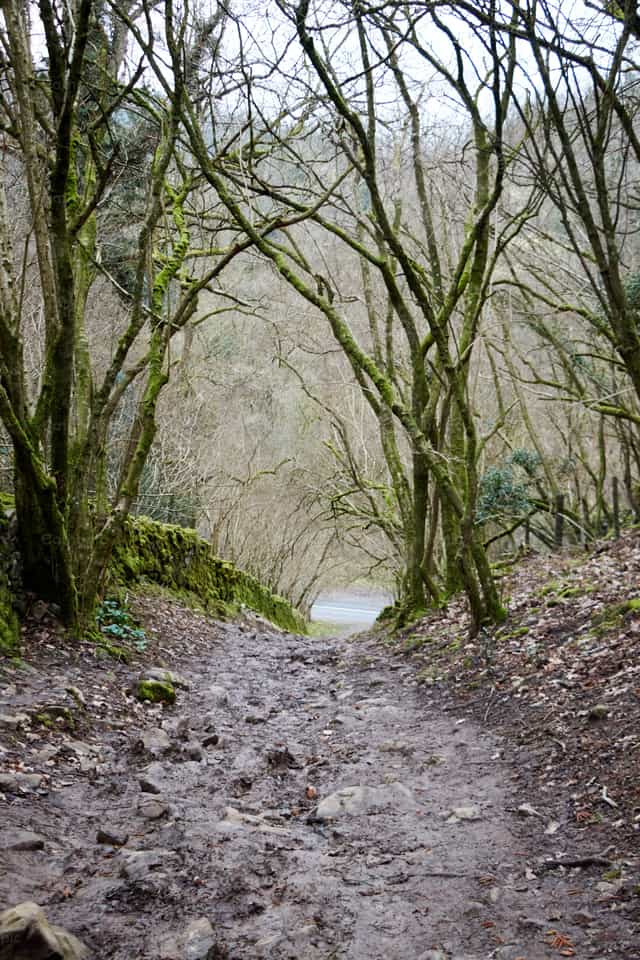 Durch den Wald - Katholische Stockfotos