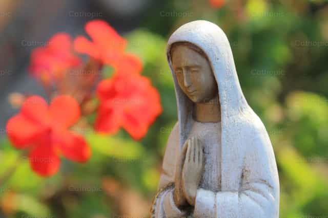 La madre de Dios - Banco de imágenes católicas