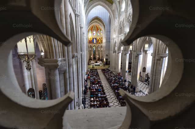 Catedral de la Almudena. Madrid - Banco de imágenes católicas - Fotografía por Álvaro García