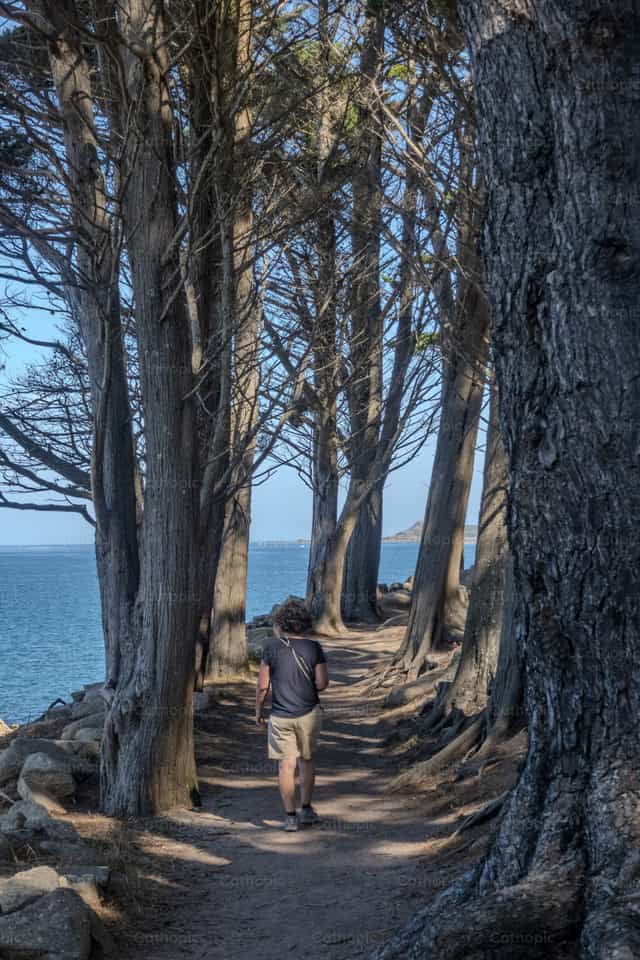 Senderista caminando por un sendero costero bajo los árboles - Banco de imágenes católicas - Fotografía por Joan Sutter
