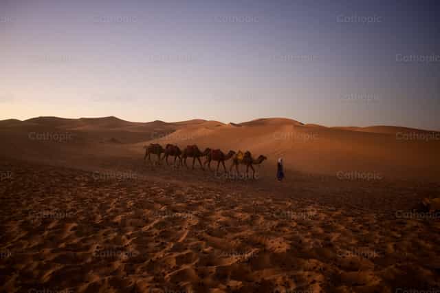 Desierto del Sahara - Banco de imágenes católicas - Fotografía por Lupe Belmonte