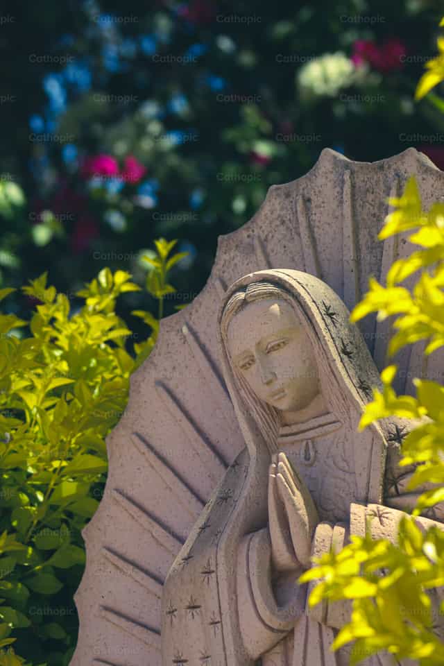 Virgin of Guadalupe - Catholic stock images