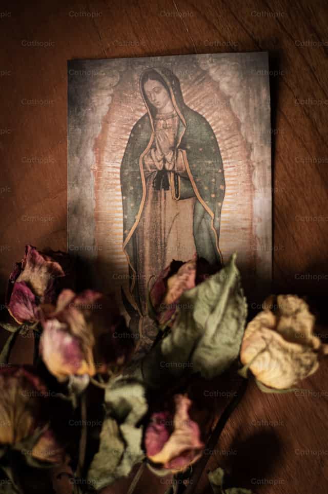 Our Lady of Guadalupe Stamp - Catholic stock images - Photo by Carolina BR