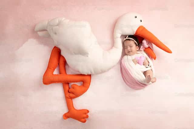 Bebe con Cigüeña - Banco de imágenes católicas - Fotografía por Clina CG