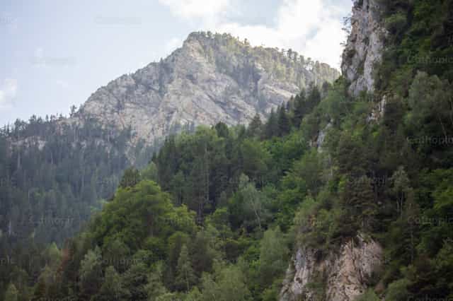 Bosque y montaña - Banco de imágenes católicas - Fotografía por José Ángel SH