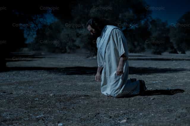 Jesus prays on his knees to the Father - Catholic stock images - Photo by Cathopic