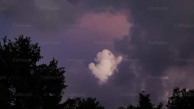 Cielo Tono Morado - Banco de imágenes católicas - Fotografía por Sophia Bauer