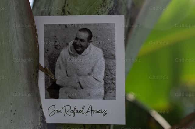 Polaroid / Rafael Arnaiz - Immagini stock cattoliche - Foto di Carolina BR