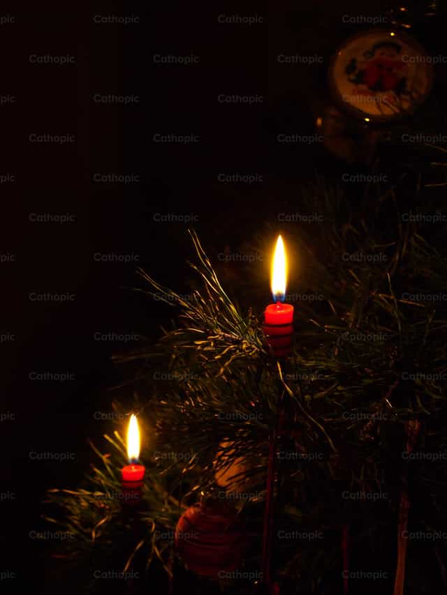 Kerzen am Weihnachtsbaum - Katholische Stockfotos