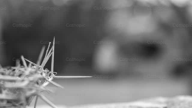 Couronne d’épines - Images catholiques de stock