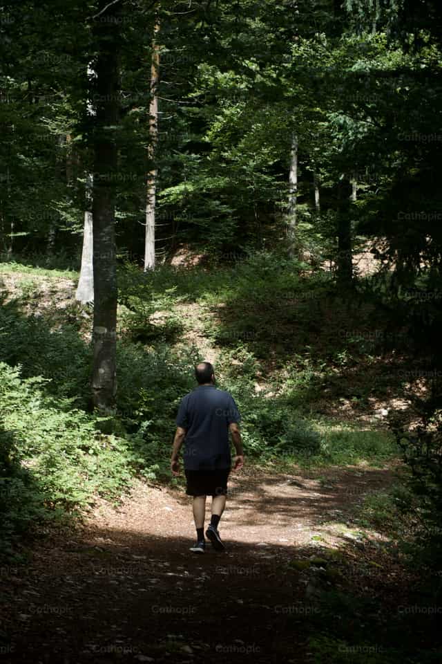 Hombre paseando por el bosque - Banco de imágenes católicas - Fotografía por Lupe Belmonte