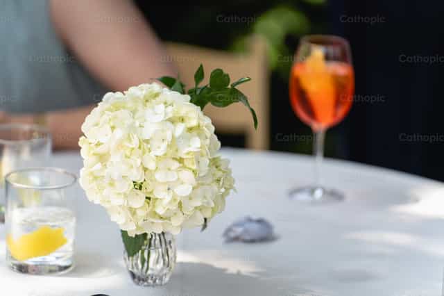 Blumen - Katholische Stockfotos - Foto von Coffee With Damian