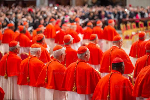 Cardinals - Catholic stock images - Photo by Jonatan OreMen