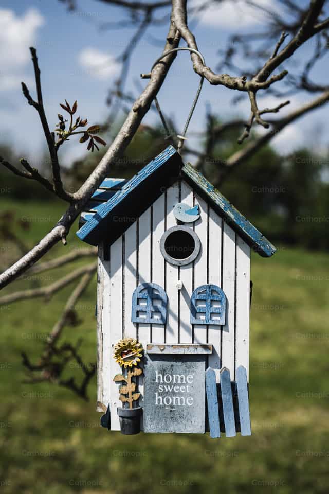 Casa para pájaros - Banco de imágenes católicas - Fotografía por Jakov Pleše