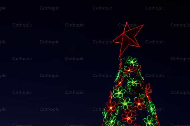 Estrela e árvore de Natal - Imagens católicas de stock - Foto de Carolina BR
