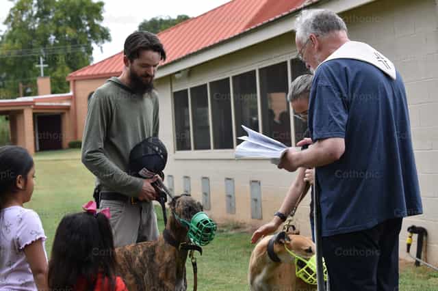 Um cão de estimação recebendo uma bênção - São Francisco - Imagens católicas de stock