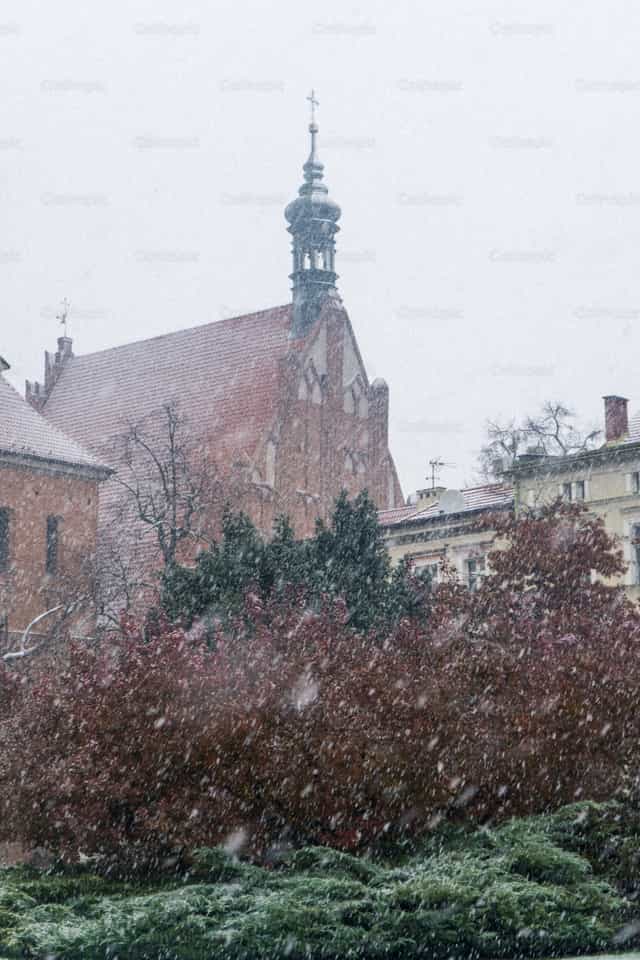 Schneereicher Tag - Katholische Stockfotos - Foto von Lupe Belmonte