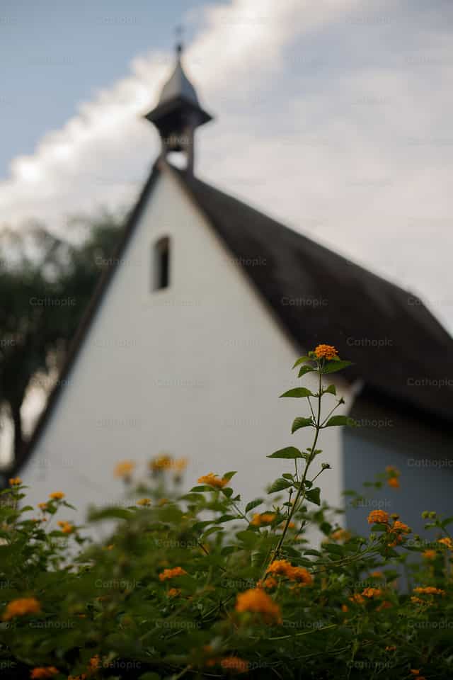 Santuario - Banco de imágenes católicas