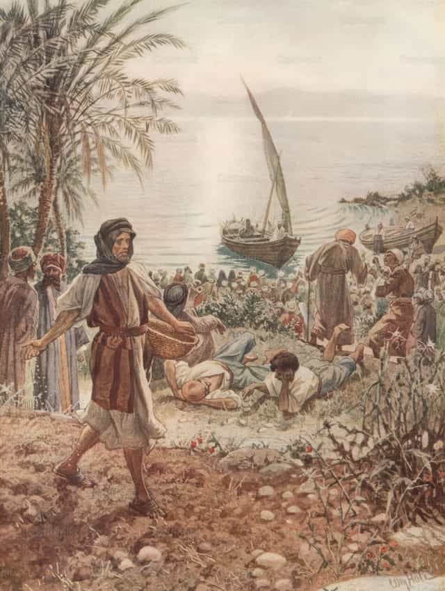 La parábola del sembrador - Banco de imágenes católicas - Fotografía por Restored Christian Art