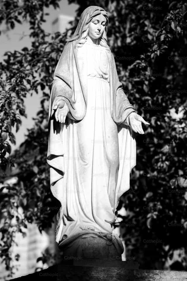 Gezegende Maagd Maria - Katholieke stockfoto's
