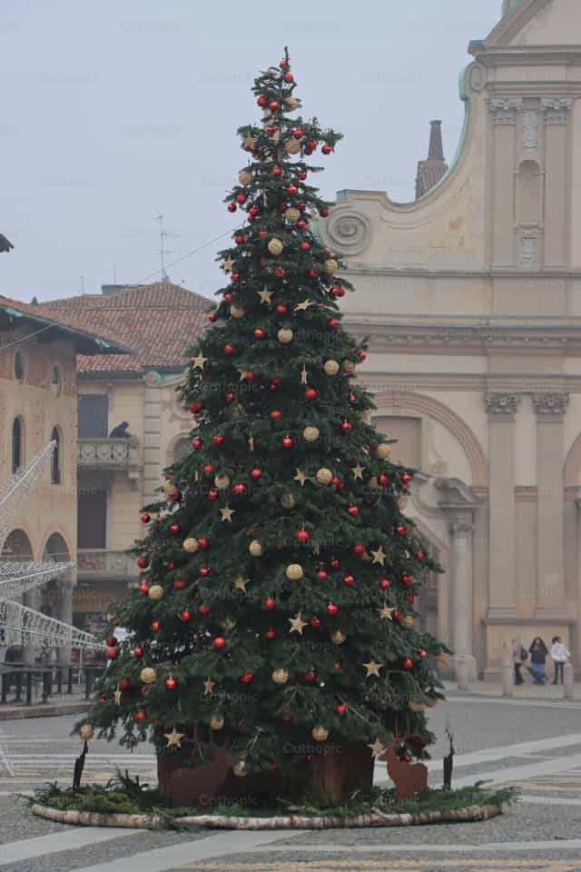 Arbol de Navidad - Banco de imágenes católicas