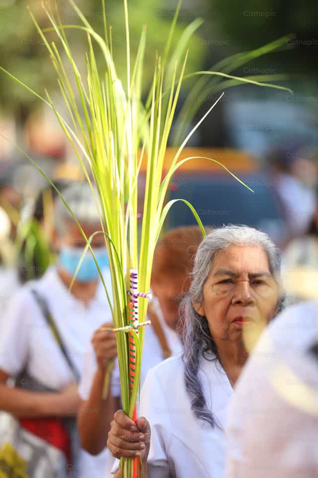 Domingo de Ramos - Banco de imágenes católicas - Fotografía por Gaby Arévalo