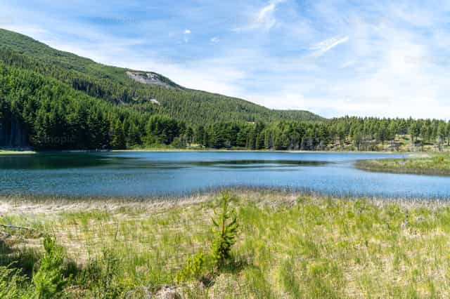 Lago e foresta di conifere a Coyhaique, Patagonia - Immagini stock cattoliche - Foto di Fabián Pérez