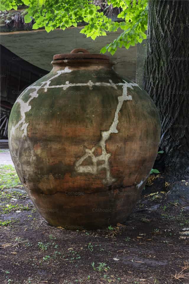 Fuimos sanados - Banco de imágenes católicas - Fotografía por Titi Maciel Pérez