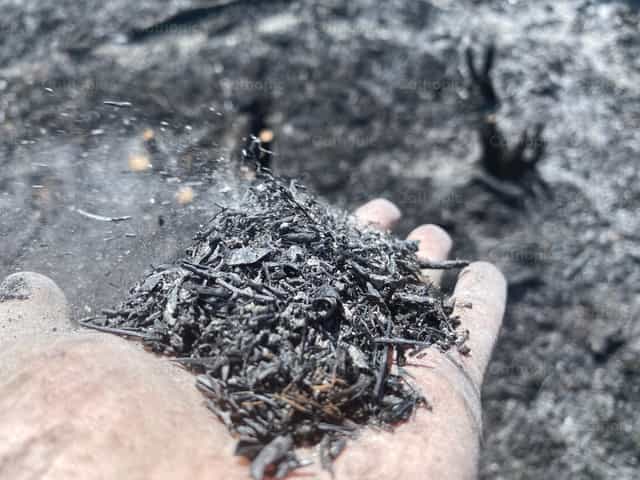 Ashes in the wind - Catholic stock images - Photo by Carolina BR