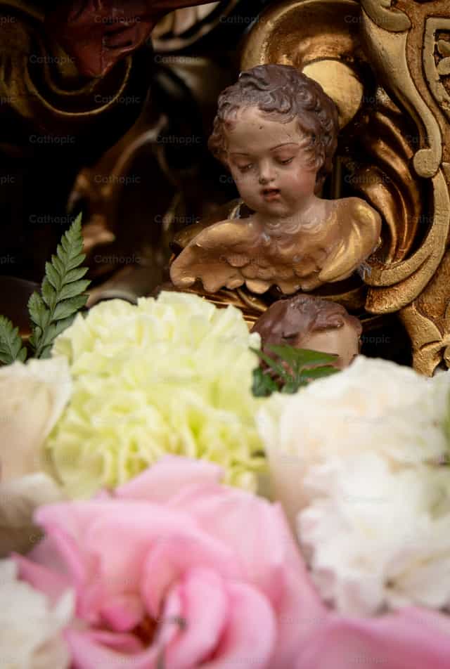 Un querubín entre flores - Banco de imágenes católicas - Fotografía por Carolina BR