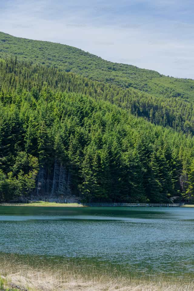 Jezioro i las Coyhaique, chilijska Patagonia - Katolickie zdjęcia stockowe - Zdjęcie: Fabián Pérez