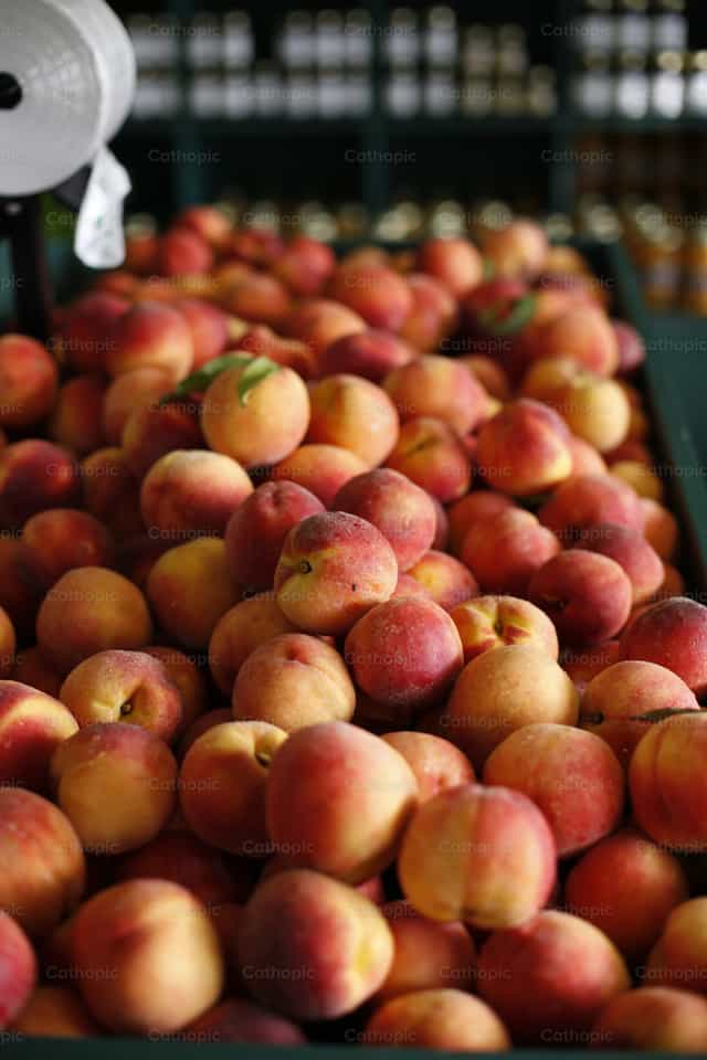 Alabama Peach - Catholic stock images - Photo by Grace Galligan