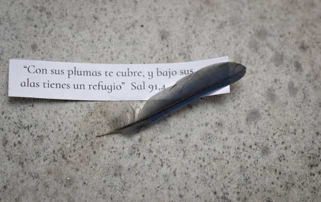 Salmo 91 - Banco de imágenes católicas