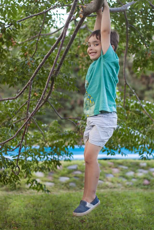 Niño colgado de un árbol - Banco de imágenes católicas
