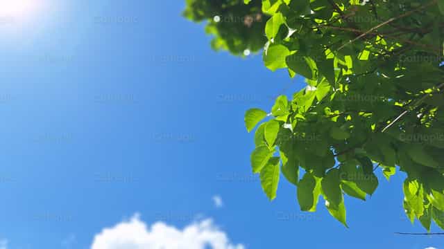 Hope - Catholic stock images