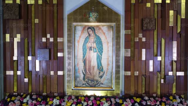 Guadalupe - Banco de imágenes católicas - Fotografía por Luis Jaime LG