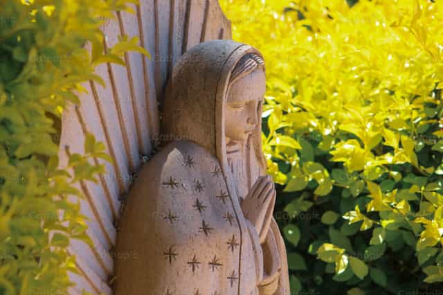 Our Lady of Guadalupe - Catholic stock images