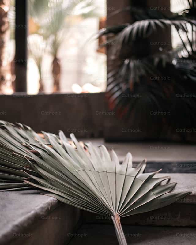Feuilles de palmier — Dimanche des Rameaux - Images catholiques de stock - Photo de God Designer