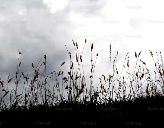 Picos selvagens na contraluz - Imagens católicas de stock