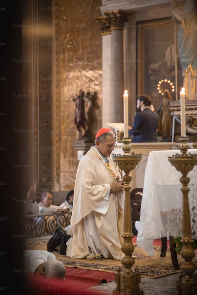 Kardinal na Nanalangin para sa mga Bagong Pari - Mga Catholic stock image - Larawan ni Yandry Fernández Perdomo