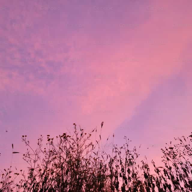 Ciel rose - Images catholiques de stock