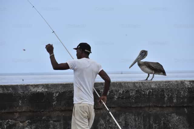 Pescador y Pelícano - Banco de imágenes católicas - Fotografía por Yandry Fernández Perdomo