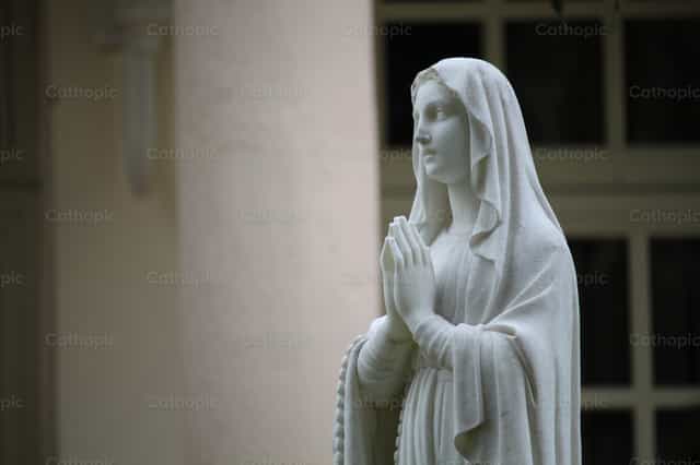 Nuestra Señora - Banco de imágenes católicas